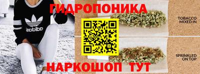 хмурый Дубна
