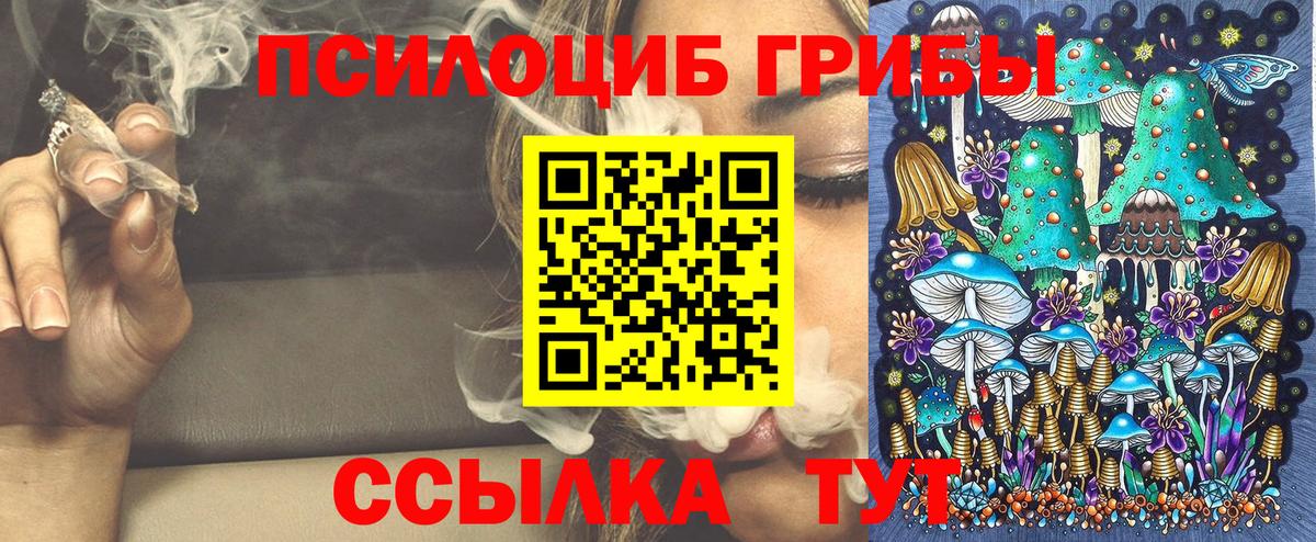 Галлюциногенные грибы Psilocybe Красноярск